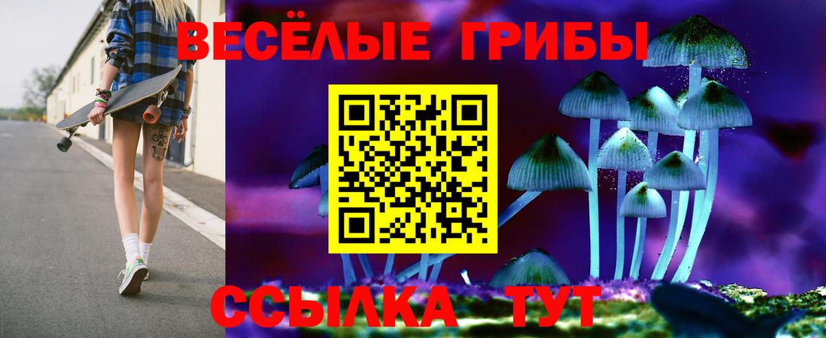 Псилоцибиновые грибы прущие грибы  Вход с VPN  Майский 