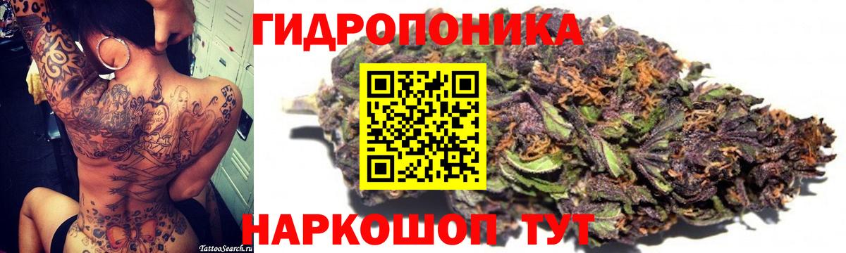 Каннабис конопля Майский